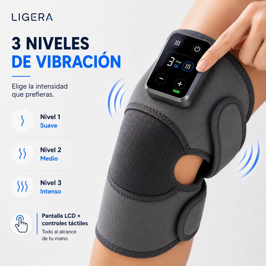 Ligera v2